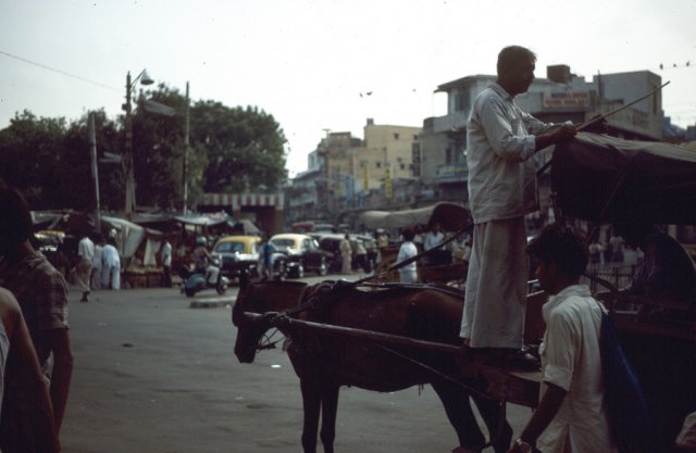 Man with horse and cart in Delhi street